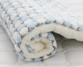 Load image into Gallery viewer, Thickened Blanket for Cats And Dogs