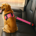 Load image into Gallery viewer, Dog wearing a pink harness sitting in a car