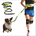 Load image into Gallery viewer, Hands-Free Shock-Absorbing Dog Leash & Belt