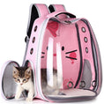Load image into Gallery viewer, Pink pet carrier with a small kitten peeking out on a white background
