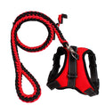 Load image into Gallery viewer, Durable Padded Nylon Dog Harness
