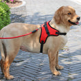 Load image into Gallery viewer, Durable Padded Nylon Dog Harness
