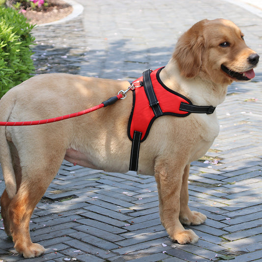 Durable Padded Nylon Dog Harness