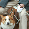 Load image into Gallery viewer, Automatic Retractable Dog Leash with LED Light
