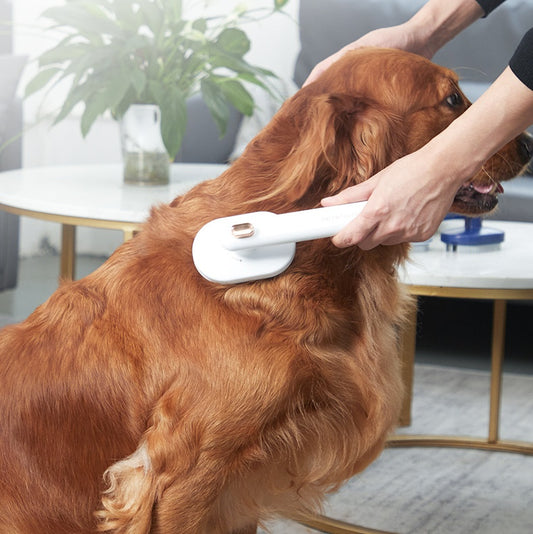 Multifunctional Pet Comb