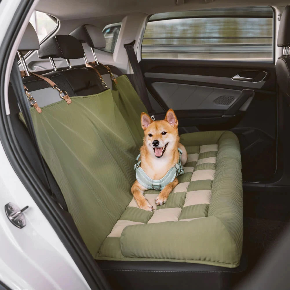 Dog sitting on a green car hammock in a vehicle
