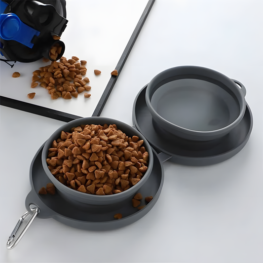 Travel Friendly Foldable Double Pet Bowl