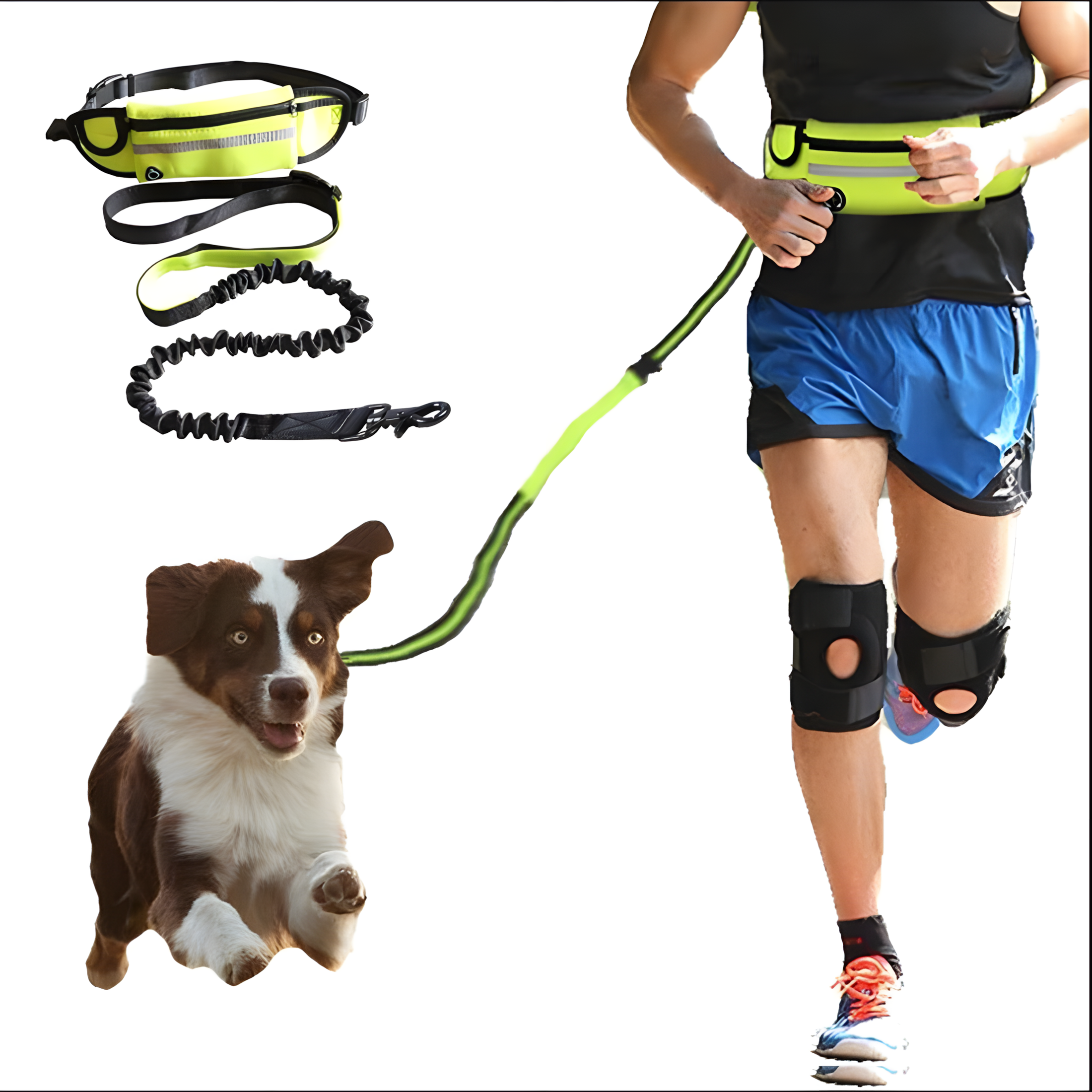 Hands-Free Shock-Absorbing Dog Leash & Belt