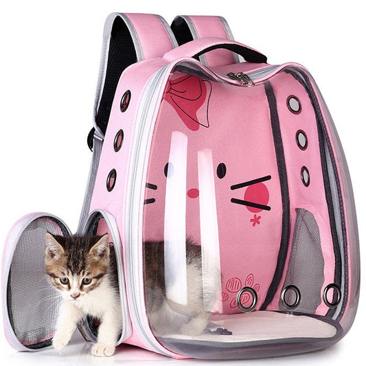Pink pet carrier with a small kitten peeking out on a white background