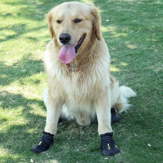 Durable Dog Shoes for Rain, Snow & Outdoor Walks